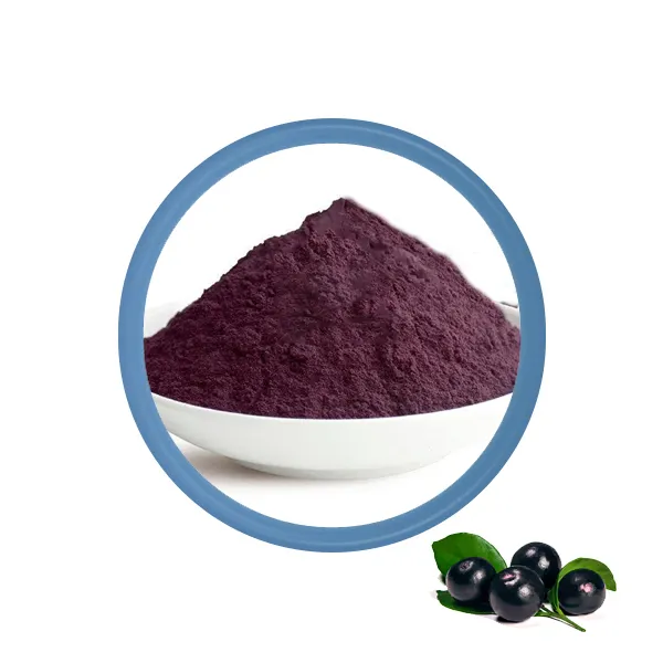 Acai Berry Juice Powder